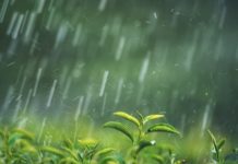 Inameh prevé precipitaciones en gran parte del país por el paso de la Onda Tropical 52