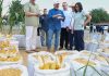 Producción de arroz en Venezuela aumentó a 65 mil toneladas en 2026, confirma la presidenta Delcy Rodríguez