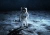 La NASA y SpaceX van por el viaje más rápido a la EEI en la historia con la misión Crew-13