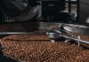 Sector cafetalero venezolano prevé dar un salto global impulsado por el aumento de superficie cultivada