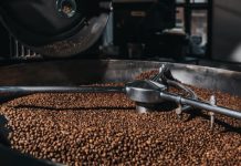 Sector cafetalero venezolano prevé dar un salto global impulsado por el aumento de superficie cultivada
