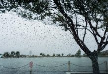 Fuertës lluvias azotän 12 provincias en Tailandia dejando miles de afectadøs e inundacionës sëveräs