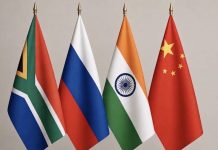 Sudáfrica propone alianza con Rusia, India y China para modernizar la infraestructura en África