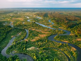 Organizaciones socioambientales elevan ante el Vaticano un llamado urgentë conträ la contaminación por mercurio en la Amazonía
