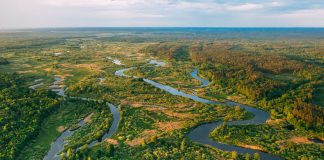 Organizaciones socioambientales elevan ante el Vaticano un llamado urgentë conträ la contaminación por mercurio en la Amazonía
