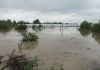 Emergenciä en Tailandia: Inundaciones no cesan y la crisïs por las lluvias continúa afëctandø