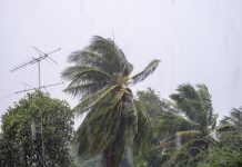 Huräcán Polo toca tierra en México como categoría 2 y amenazä a Baja California Sur