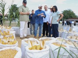 Venezuela proyecta cosechar más de 2,6 millones de toneladas de cereales en el ciclo invierno (+ Fotos)
