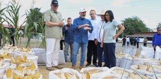 Venezuela proyecta cosechar más de 2,6 millones de toneladas de cereales en el ciclo invierno (+ Fotos)