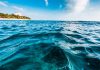 Fenómeno El Niño elevará el nivel del mar en las costas del sur de California durante los próximos meses
