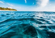 Fenómeno El Niño elevará el nivel del mar en las costas del sur de California durante los próximos meses