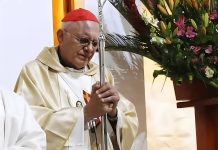 Cardenal Baltazar Porras pide orar por la salud del papa León XIV ante su próxima intervención quirúrgica