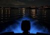 Pierde brillo la bahía bioluminiscente de Vieques en Puerto Rico y genera preocupación por su impacto en la economía turística