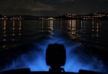 Pierde brillo la bahía bioluminiscente de Vieques en Puerto Rico y genera preocupación por su impacto en la economía turística