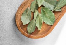 El infalible truco casero del laurel detrás de la puerta: por qué todo el mundo lo está haciendo y para qué sirve