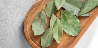 El infalible truco casero del laurel detrás de la puerta: por qué todo el mundo lo está haciendo y para qué sirve