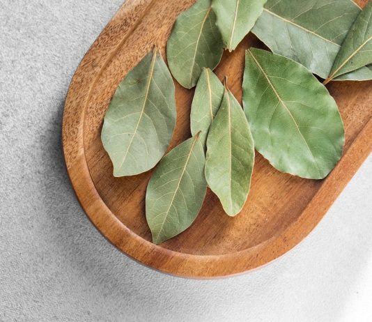 El infalible truco casero del laurel detrás de la puerta: por qué todo el mundo lo está haciendo y para qué sirve