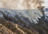 Alertâ en Perú tras registrarse 401 incendiøs forestalës que dejan saldo mortâl y miles de hectáreas destruidäs