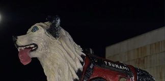Inauguran en Barquisimeto la estatua en honor a Tsunami, el perro rescatista de La Guaira (+ Fotos)