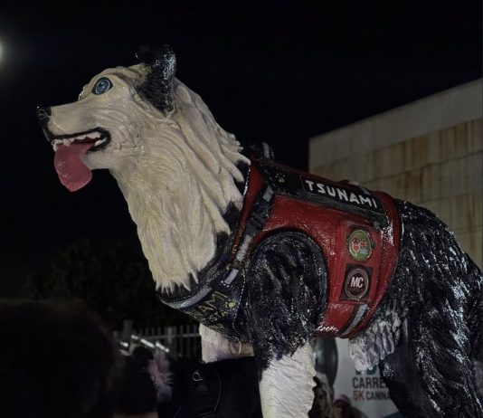 Inauguran en Barquisimeto la estatua en honor a Tsunami, el perro rescatista de La Guaira (+ Fotos)