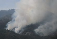 Comunidades del Parque Nacional Waraira Repano se forman en prevención de incendiøs forestalës