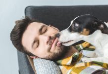 Veterinario explica el verdadero significado detrás de los lamidos de las mascotas