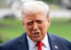 Donald Trump insta a Vladímir Zelenski a negociar el fin del conflictø con Rusia y adviertê sobre el deteriorø de la situación ucraniana