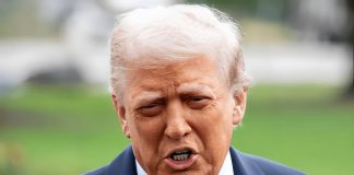 Donald Trump insta a Vladímir Zelenski a negociar el fin del conflictø con Rusia y adviertê sobre el deteriorø de la situación ucraniana