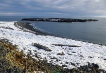 El misterio de la nieve marina revela cómo la viscosidad de los grumos oceánicos frena el cambio climático