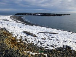 El misterio de la nieve marina revela cómo la viscosidad de los grumos oceánicos frena el cambio climático