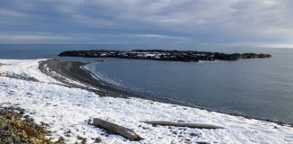 El misterio de la nieve marina revela cómo la viscosidad de los grumos oceánicos frena el cambio climático
