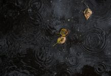 Lluvias asociadas al fenómeno El Niño provocan severâs inundacionës y colapsø de alcantarillado en Perú