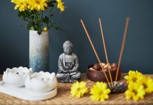 ¿Decoración o energía? Descubre la verdad detrás de los mitos del Feng Shui Sistémico que seguro creías ciertos