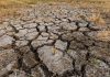 Argentina activa plan de emergenciä en 18 parques nacionales ante la amenazâ del fenómeno El Niño