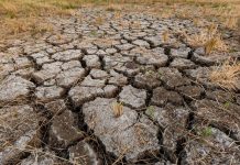 Argentina activa plan de emergenciä en 18 parques nacionales ante la amenazâ del fenómeno El Niño