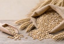 ¡Descubre la sémola de trigo! El superalimento clave que te dará energía sostenida durante todo el día