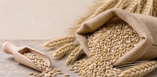 ¡Descubre la sémola de trigo! El superalimento clave que te dará energía sostenida durante todo el día