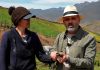 Producción agrícola en los Andes venezolanos gana impulso para garantizar la soberanía alimentaria (+ Video)
