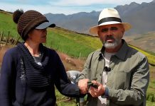 Producción agrícola en los Andes venezolanos gana impulso para garantizar la soberanía alimentaria (+ Video)