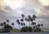 Huracán Rachel se fortalece a categoría 2 frente al Pacífico y amenazâ con fuertës lluvias en cuatro estados de México