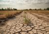 Gobierno de Jamaica anuncia restricciones severas y racionamiento de agua por el impacto del fenómeno de El Niño