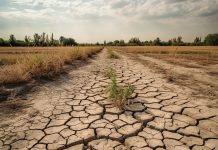 Gobierno de Jamaica anuncia restricciones severas y racionamiento de agua por el impacto del fenómeno de El Niño