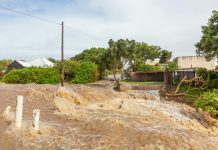 Inundaciones en Tailandia provocan 31 muertës y afectan a más de cuatro millones de personas en casi 50 provincias