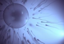 Estudio urológico vincula la frecuencia eyaculatoriä con un menor rïesgo de cáncër de próstatä