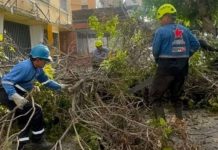 Alcaldía de Caracas se declara en alertâ permanente tras intensas lluvias en el Distrito Capital