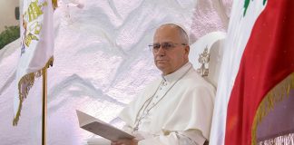 Papa León XIV nombra a la religiosa irlandesa Mary Barron como secretaria auxiliar del Dicasterio para la Evangelización