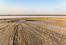 Hungría afronta el verano más seco registrado desde 1901 tras acumular apenas un tercio de las lluvias habituales