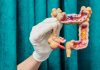 Bacterias del intestino previas a la inmunización explican por qué unas personas sufrên más efectos secundarios que otras