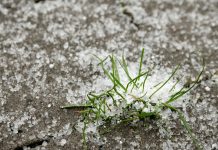 Decretan alertâ roja en la Región Metropolitana de Santiago de Chile por intensas lluvias y granizadas