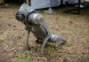 Robot cuadrúpedo apoya primera expedición científica en las montañas de Ailaoshan en China